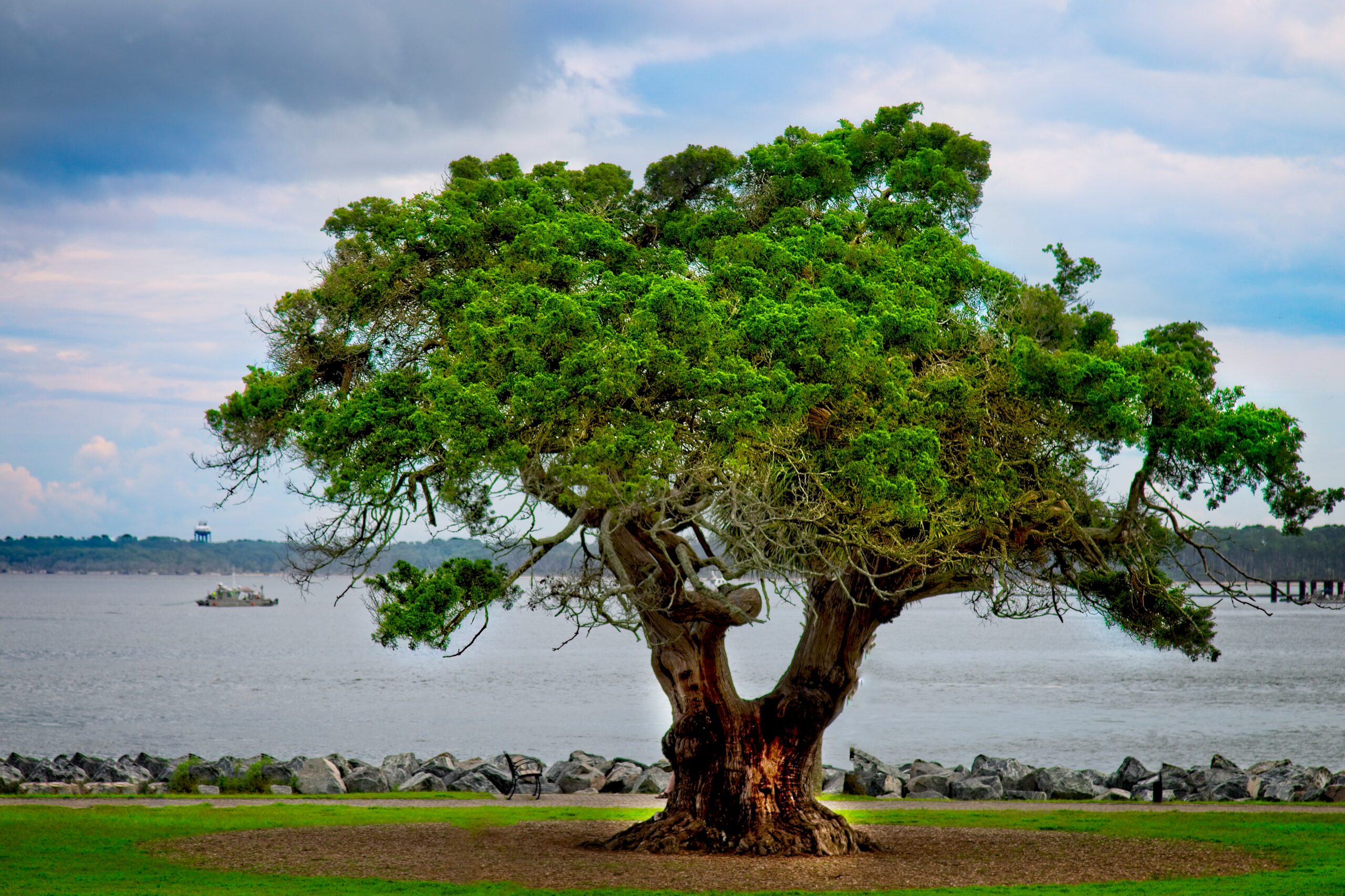 The 2024 RSM Classic took place at Sea Island Golf Club in St. Simon's Island, Georgia.