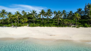 The 2024 Hero World Challenge once again took place in The Bahamas.