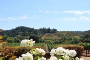 The 2025 Procore Championship takes place in Napa Valley, California, at the Silverado Resort's North Course.