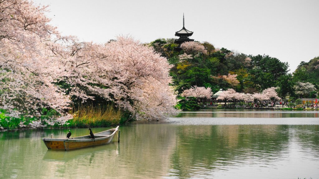 The 2025 Baycurrent Classic was contested at the Yokohama Country Club for the first time.