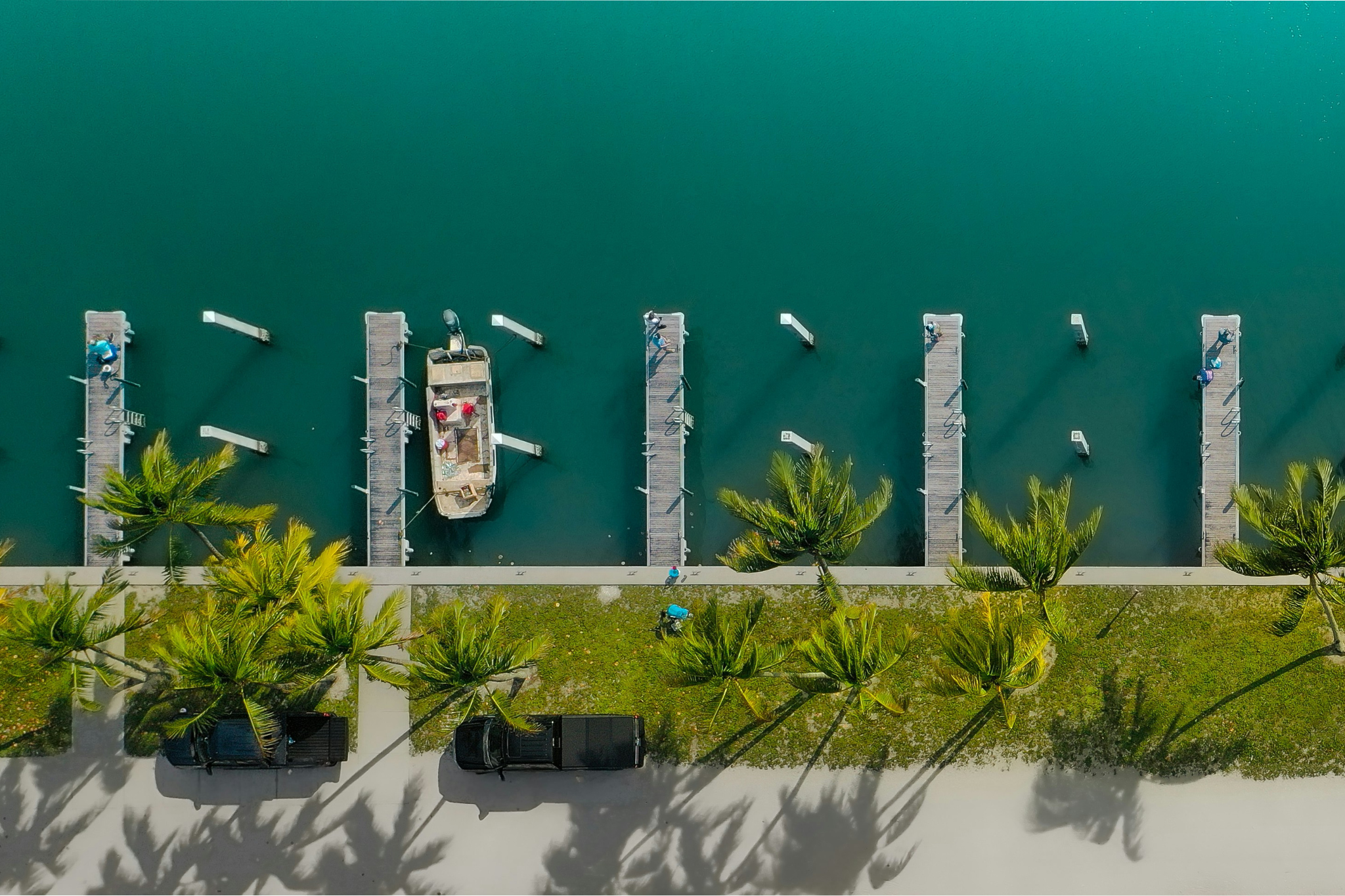 The 2026 Cognizant Classic will be contested on PGA National Champion Course in Palm Beach Gardens, FL.