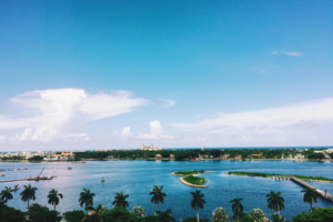 The 2026 Cognizant Classic is contested on the Champion Course at PGA National in Palm Beach Gardens, FL.