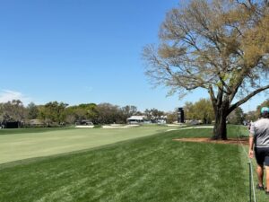 Hole 12 at Bay Hill.