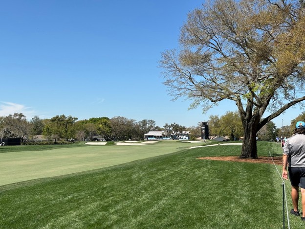 Hole 12 at Bay Hill. 