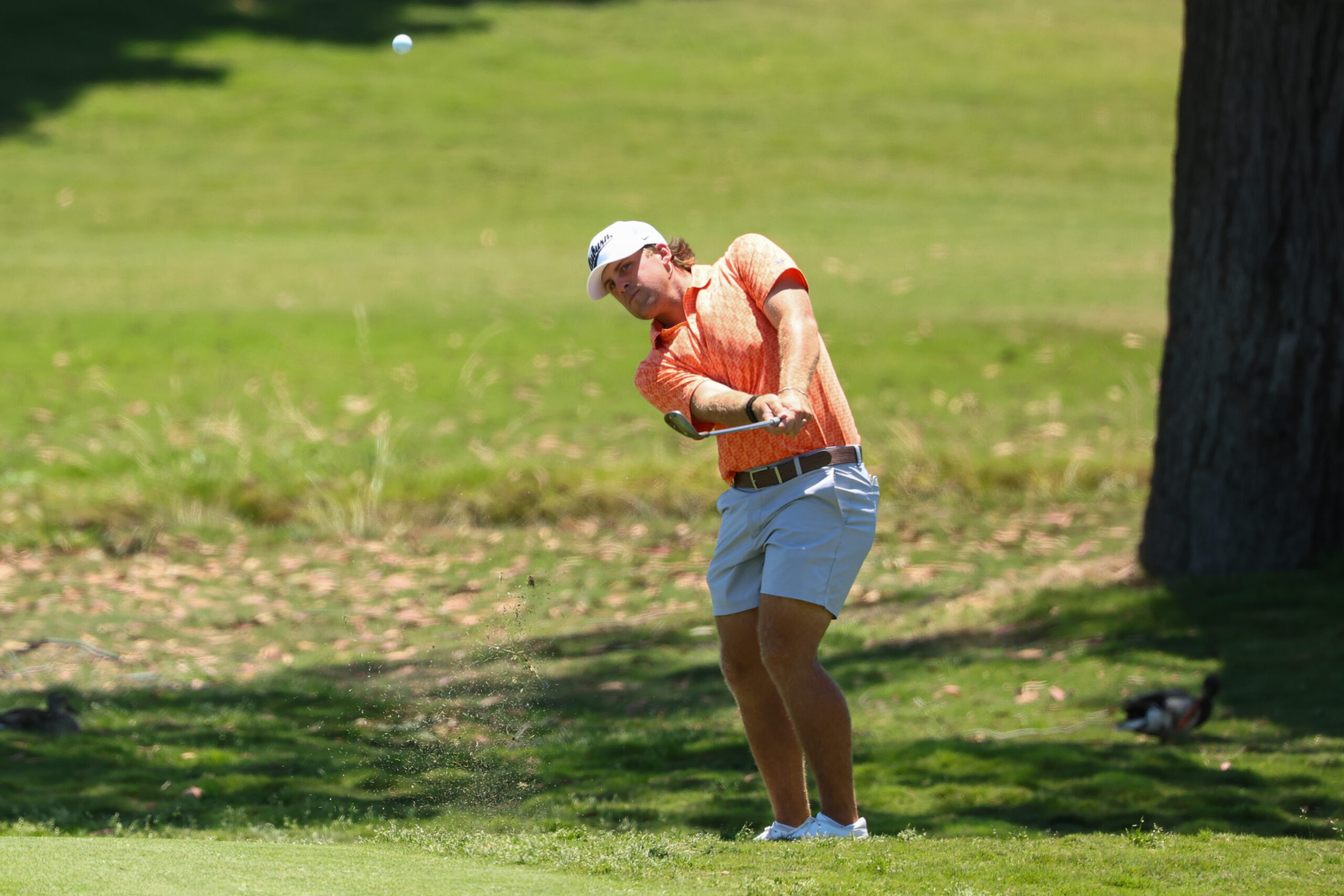 Josiah Gilbert of the Auburn Tigers chips during the 2026 Division I Men’s Golf Championship.