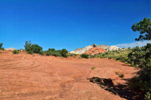 The 2026 Bank of Utah Championship takes place in Ivins, UT.