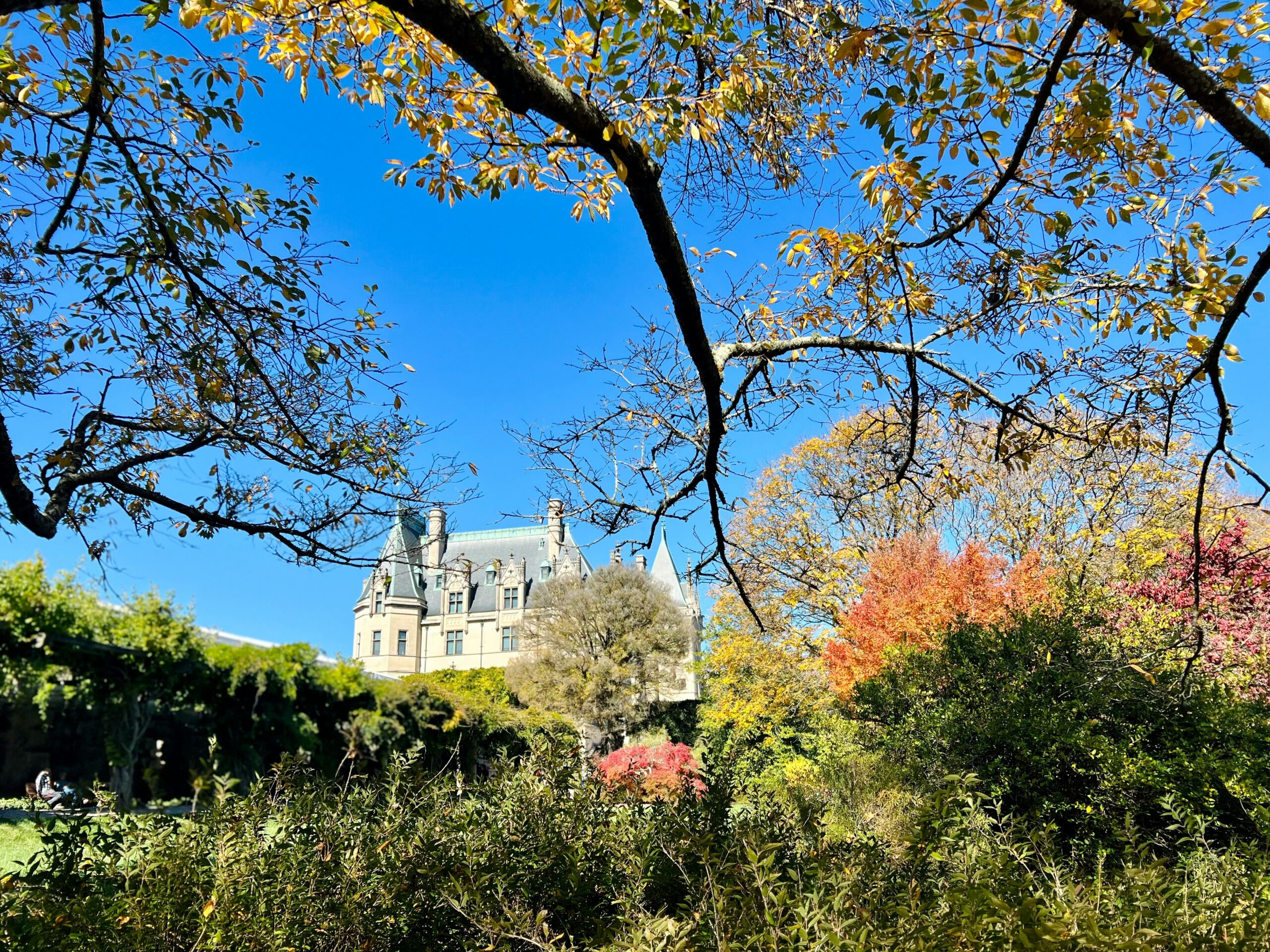 The inaugural Biltmore Championship Asheville will take place at The Cliffs at Walnut Cove in North Carolina.